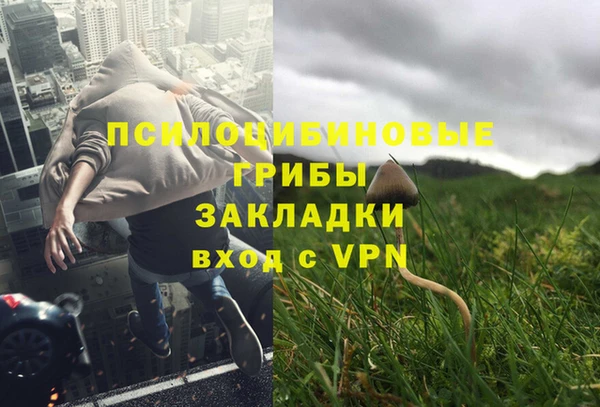 соль ск Остров