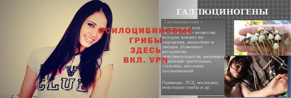 ECSTASY Осинники