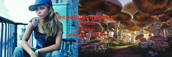 соль ск Остров