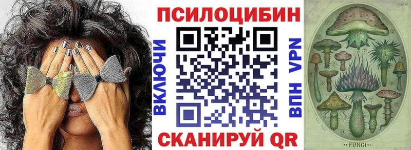 Псилоцибиновые грибы Psilocybine cubensis  кракен зеркало  Рославль  как найти закладки 